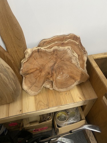 Yew native english - native,