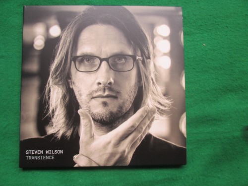 Steven wilson transience - wilson,