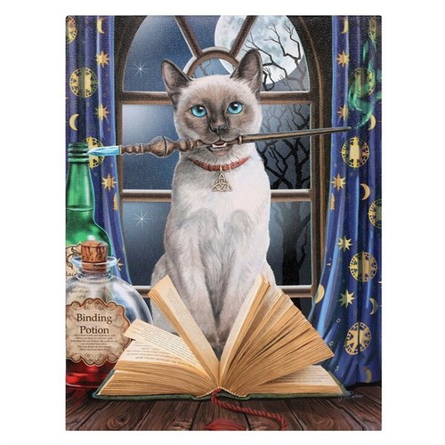 Hocus pocus small picture - hocus, art