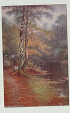 Tuck Oilette Postcard, Happy