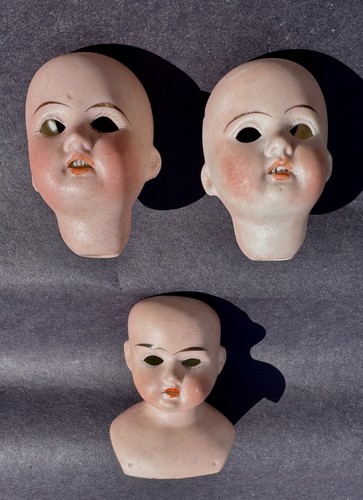 Antique bisque dolls heads - 3,