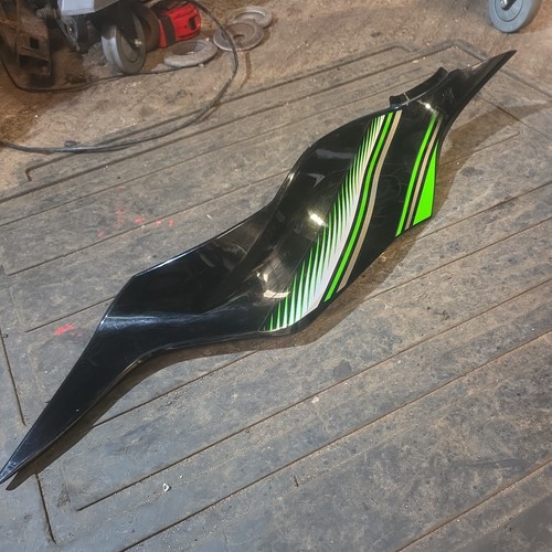 Kawasaki zx6r 636 ninja - zx6r, left