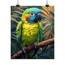 Blue Headed Macaw Bird Art