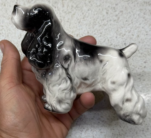 Vintage black white springer - white,