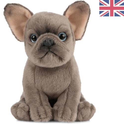 Adorable french bulldog - bulldog, puppy