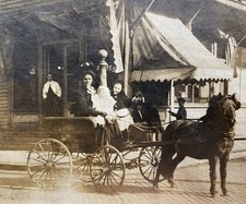 Small Horse Drawn Cart Boys on