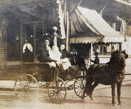 Small horse drawn - horse, boys