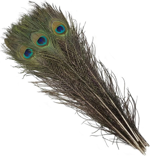 Natural peacock feathers - natural,