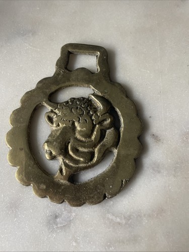 Bull horse brass - horse,