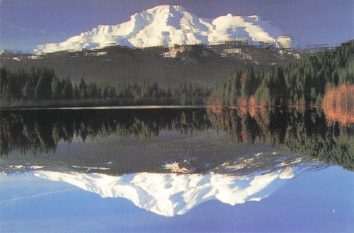 Postcard shasta snow - shasta,