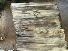 Spalted Elm Bowl Blank Wood