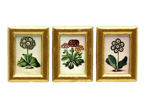 Dolls house auriculas flower - dolls,