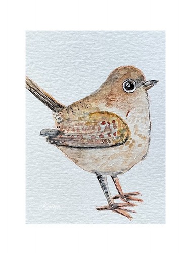 Aceo kenna wren bird - hp,