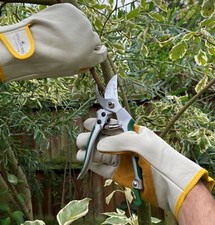 Heavy Duty Deluxe 8" Bypass