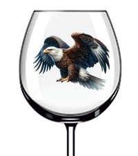 12x Colourful Hunting Eagle