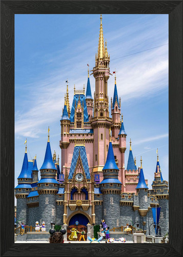 Cinderella castle disney - at,