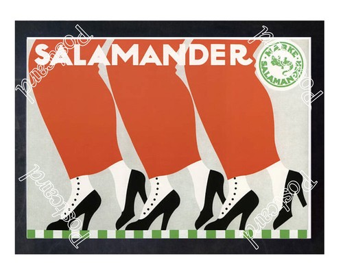 Historic salamander shoes - historic,