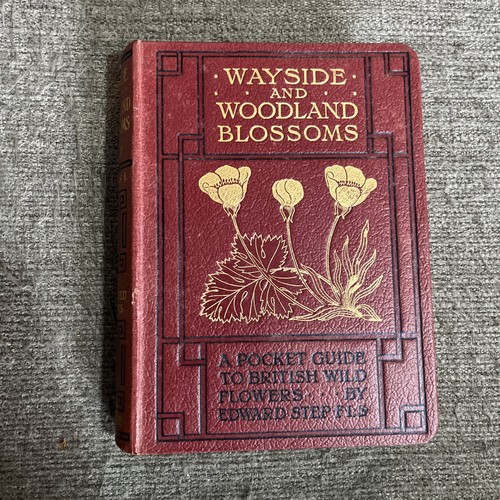 Wayside woodland blossoms - &,