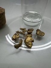 Fine Panned Gold Scottish Nuggets