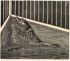 Bird in Corner of Cage 