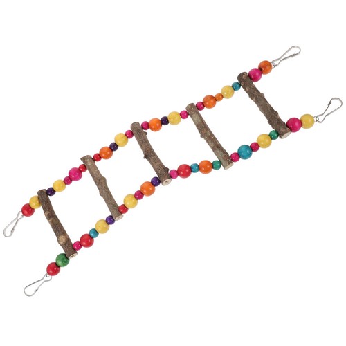 Colorful parrot ladder birds - colorful,