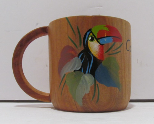 Costa rica tropical toucan - costa,