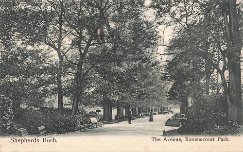 Shepherds bush the avenue - shepherds,
