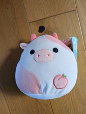 Authentic Squishmallow Named
