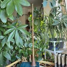 Antique Copper Brass Hunting