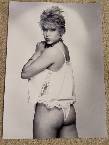 Sam fox photo - fox, a4