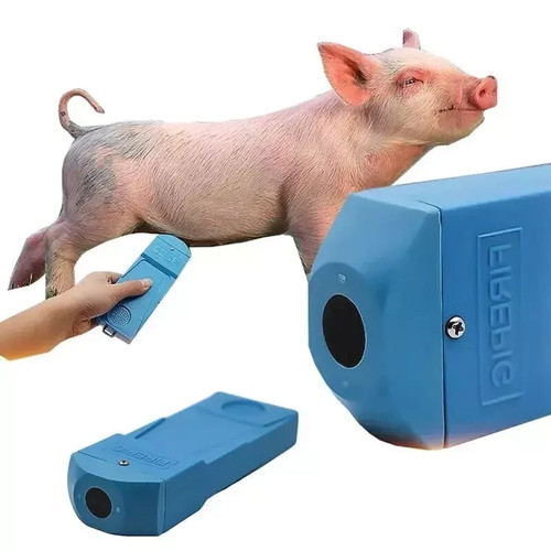 Livestock portable ultrasound - livestock,