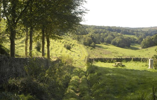 Photo 12x8 cotswold way - cotswold,