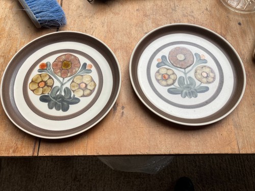 Denby langley dinner plates - denby,