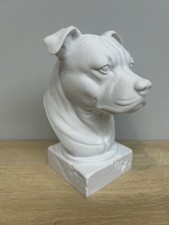 Staffordshire Bull Terrier