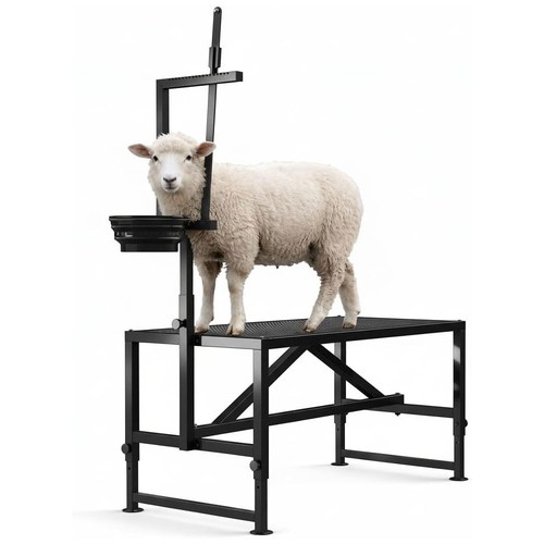 Heavy duty goat stand - stand, feed