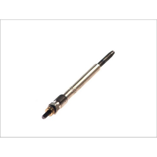 Bosch 250 202 - bosch, glow