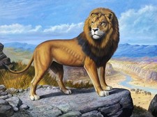 Large Superb African Lion Original Contemporary Oil on Canvas Wildlife Painting