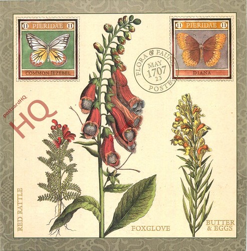 Postcard flower foxglove - postcard>>flower,,