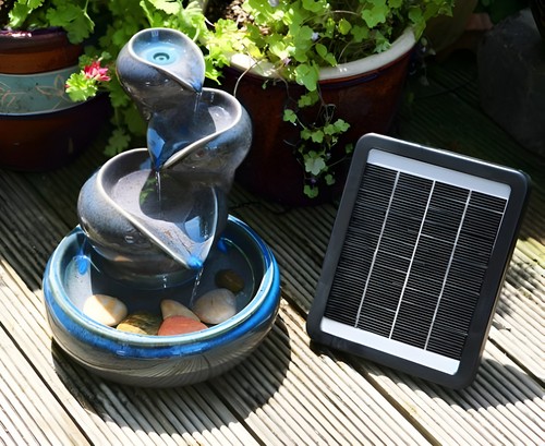 Primrose cosmos blue - cosmos,