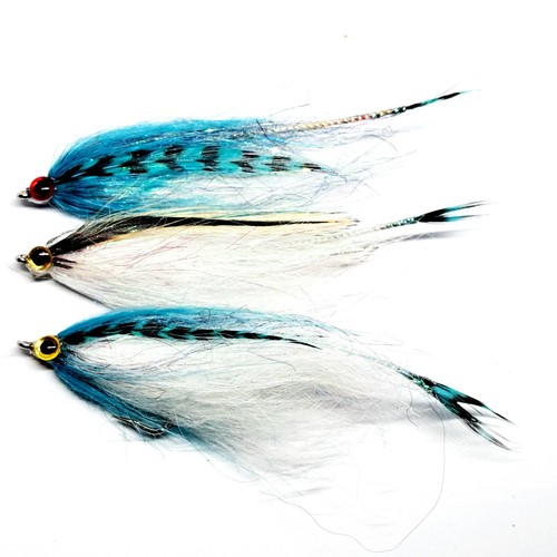 New series fin - new, salt
