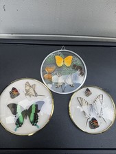3 X Round Vintage Glass Dome Wall Framed Taxidermy Butterfly’s Collection. VGC 