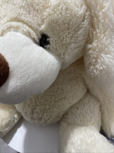 Cuddles collection sitting - cuddles,
