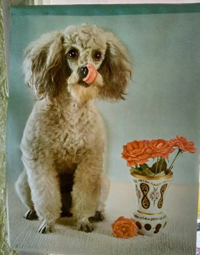 Vintage 1978 puffy lifelike - vintage,