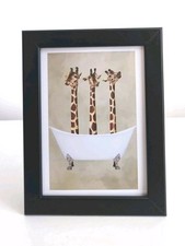 Funny Giraffes in a bathtub