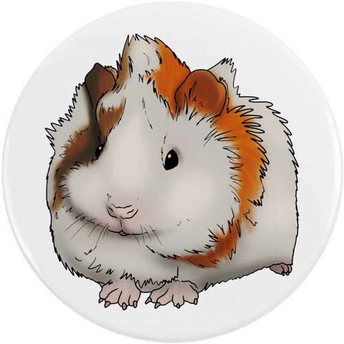 Guinea pig pup button - 'guinea, /