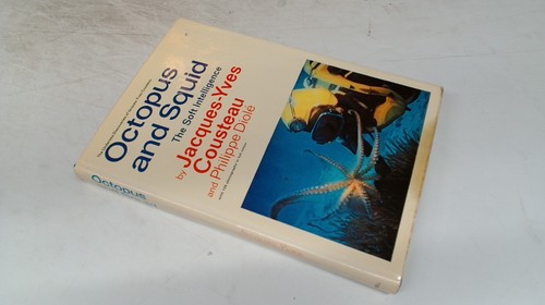 Octopus and squid - octopus, squid: