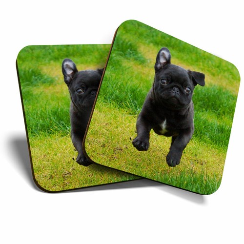 Coasters playful black - coasters,
