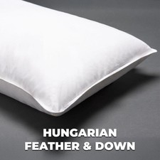 Pair Of White Hungarian Goose