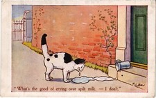 PC CATS ARTIST SIGNED LEWIN