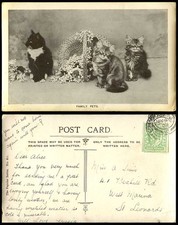 3 Cats Kittens, Family Pets, Basket Flowers 1907 Old Real Photo Postcard Animals